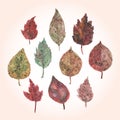 Watercolor set of autumn leaves, paint stains. Royalty Free Stock Photo
