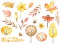 Watercolor set of autumn leaves, trees, berries, flowers, branches