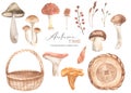 Watercolor set autumn time with basket, mushrooms, amanita, honey agarics, berries, autumn leaves Royalty Free Stock Photo