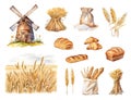 Watercolor set of bakery elements with rustic windmill, sheaves of wheat, flour sack, various bread loaves, and croissants Royalty Free Stock Photo