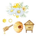 Watercolor set, beehive, honeycombs and bouquets of daisies