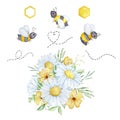 Watercolor set, bees, honeycombs and bouquets of chamomile