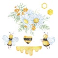 Watercolor set, bees, honeycombs and bouquets of chamomile