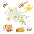 Watercolor set, bees, honeycombs and bouquets of chamomile