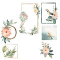 Watercolor Set of Birds with Flowers and Three Royalty Free Stock Photo