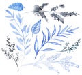 Watercolor set of blue flowers and twigs Royalty Free Stock Photo