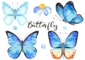Watercolor Set With Blue, Violet Butterflies. Hand Painted Clipart