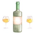 Watercolor set of bottle and glasses of different shapes with white grape wine.