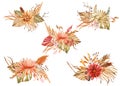 Watercolor set of bouquets of dried flowers with dry palm leaves, pampas, dry grass