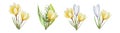 Watercolor set of bouquets of yellow, white and purple blooming crocuses and lily of the valley flowers isolated on Royalty Free Stock Photo