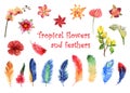 Watercolor set of bright tropical feathers and tropical flowers isolated on white background Royalty Free Stock Photo