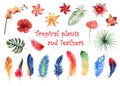 Watercolor set of bright tropical feathers and tropical plants isolated on white background Royalty Free Stock Photo