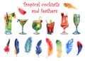 Watercolor set of bright tropical feathers and summer cocktails isolated on white background Royalty Free Stock Photo