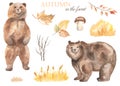 Watercolor set with brown bear, autumn leaves, berries, yellow glade, spikelets, grass, mushroom