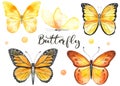 Watercolor set with butterflies yellow, black, orange. Hand painted clipart