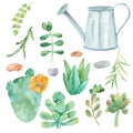 Watercolor set of cacti, succulents, pebbles, flower pots.