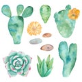 Watercolor set of cacti, succulents, pebbles. Royalty Free Stock Photo