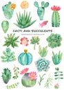 Watercolor set of cacti, succulents, pebbles.