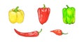 Watercolor set with chili peppers, sweet yellow peppers, bell peppers, red hot peppers Set for design menu, labels isolated on Royalty Free Stock Photo