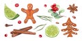 Watercolor set of cinnamons, star anise, lime slices, cowberry, gingerbread cookie, spruce, cloves isolated on white background.