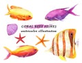 Watercolor set of colorful reef fishes, starfish and molluscs.