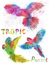 Watercolor set with colorful tropic parrots