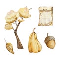 Watercolor set of cozy autumn, cute elements Royalty Free Stock Photo