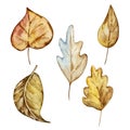 Watercolor set of cozy autumn, cute elements