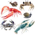 Watercolor set of crustaceans