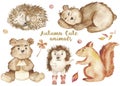 Watercolor set with cute cartoon bear, squirrel, hedgehog.