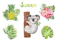 Watercolor summer set with cute koala bear and tropical leaves and plants, isolated on white background. Royalty Free Stock Photo