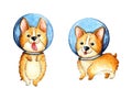 Watercolor set of cute little corgi puppies in a spacesuit. Royalty Free Stock Photo