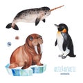 Watercolor set with cute penguin,narwhal and walrus
