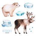 Watercolor set with cute polar bear and reindeer