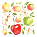 Watercolor set of diferent apples