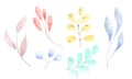 A watercolor set of different twigs and leaves, pastel delicate colors, isolated elements on a white background. Royalty Free Stock Photo