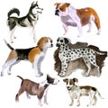 Watercolor set of dogs