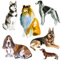 Watercolor set of dogs