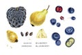 Watercolor set of exotic fruits and ripe berryes.