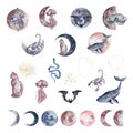 Watercolor set fantastic moon animals