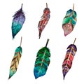 Watercolor set of 6 feathers in boho style.