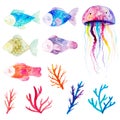 Watercolor set with fishes, seaweeds , corals and jellyfish. Royalty Free Stock Photo