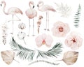 Watercolor set with flamingo birds, dried leaves and tropical flowers illustration isolated elements Royalty Free Stock Photo