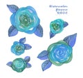Watercolor set Flower hand-painted isolated bud blue and turquoise Rose and green and gray leafs on a white Background