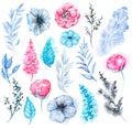 Watercolor set of flowers and twigs Royalty Free Stock Photo