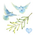 Watercolor set of flying doves, olive branch and heart isolated on a white background. Royalty Free Stock Photo