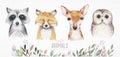 Watercolor set of forest cartoon isolated cute baby fox, deer, raccoon and owl animal with flowers. Nursery woodland Royalty Free Stock Photo