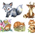 Watercolor set of forest cartoon isolated cute baby fox, deer, raccoon and owl animal with flowers. Nursery woodland illustration Royalty Free Stock Photo