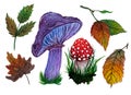 Watercolor set forest mushrooms and leaves. Hand-drawn botanical sketch. Edible and poisonous mushrooms isolated on white