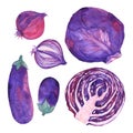Watercolor set of fresh eggplant, Scotch kale and red-violet onion.